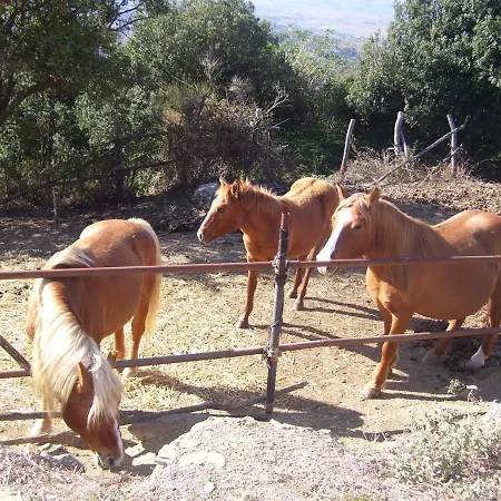 Belvilla By Oyo Castellaro Paciano